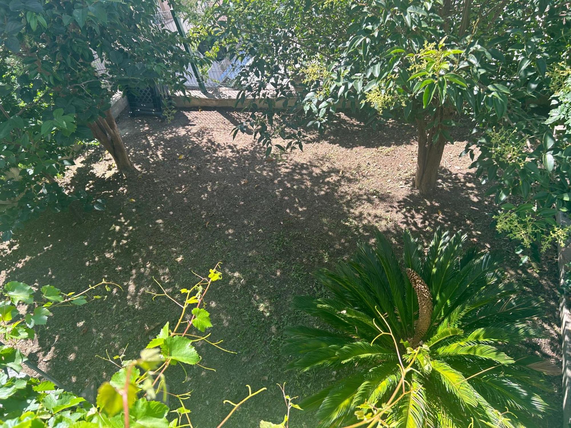 Summertime Apartman Split